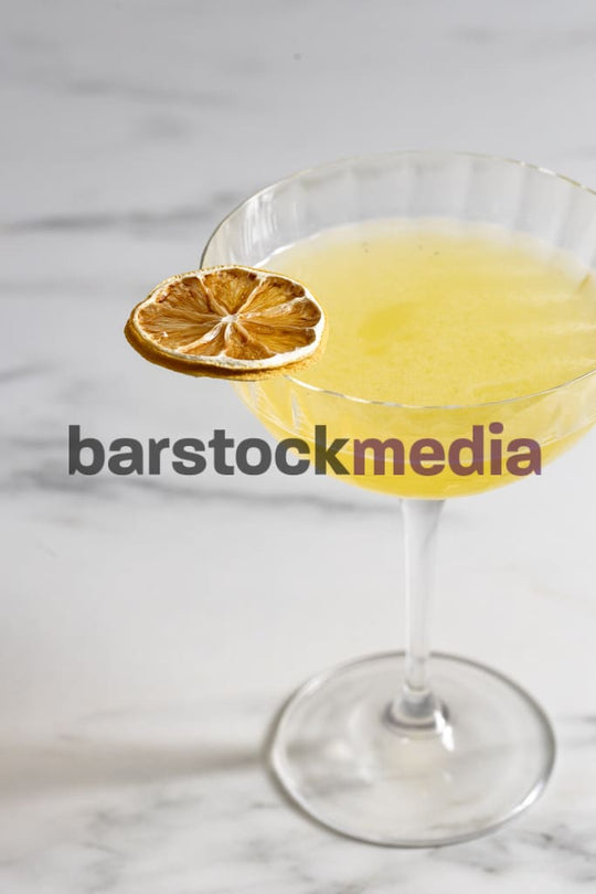 Bees Knees with Lemon Wheel Garnish on Grey II