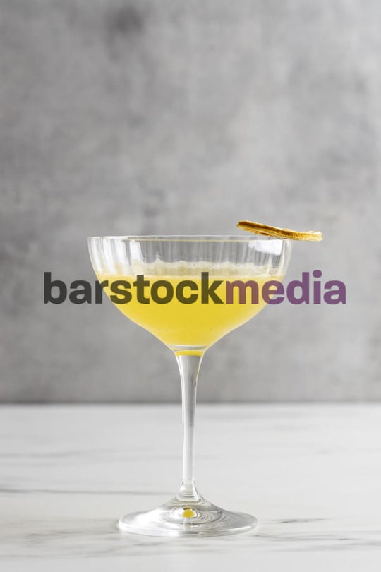 Bees Knees with Lemon Wheel Garnish on Grey III